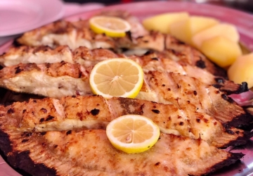 Começou como um barracão. Hoje é o spot mais procurado para comer peixe fresco
